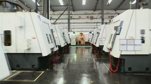 視頻丨乳山 一攬子政策提振企業(yè)信心 助推經(jīng)濟高質量發(fā)展