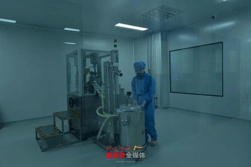 泰安各縣市區(qū) 功能區(qū)迎來重點(diǎn)項(xiàng)目建設(shè) 年中考 一