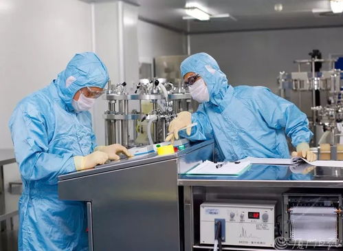 廈門,長風(fēng)破浪勇立潮頭 禮贊中國改革開放40周年