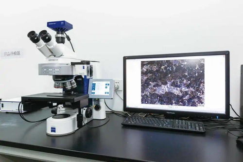 永鋼 硬核實(shí)力的背后——獲江蘇省省長質(zhì)量獎(jiǎng)的汽輪機(jī)研發(fā)與銷售之道